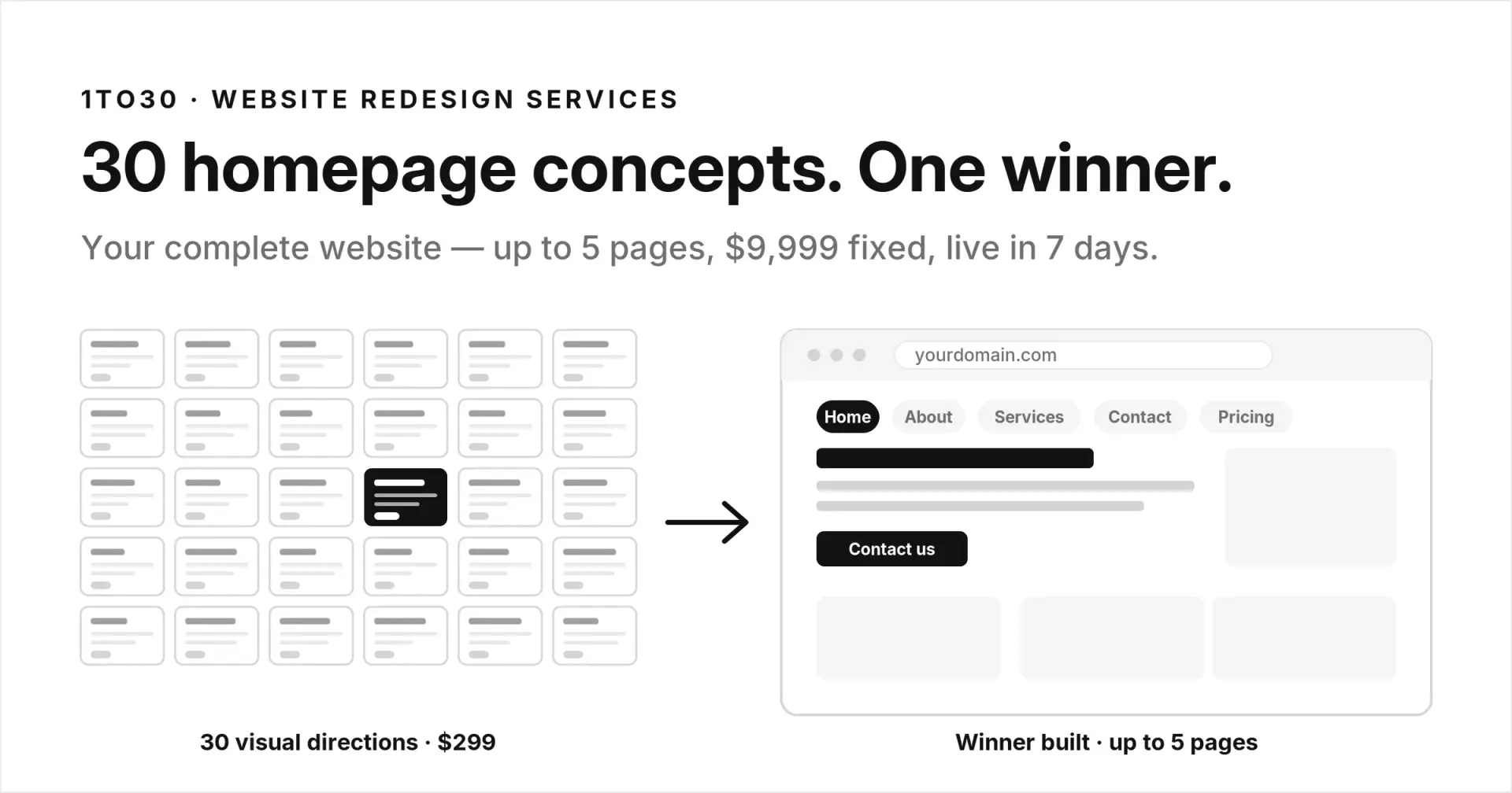 Website redesign services: 30 homepage concepts, one winner built into a complete 5-page website